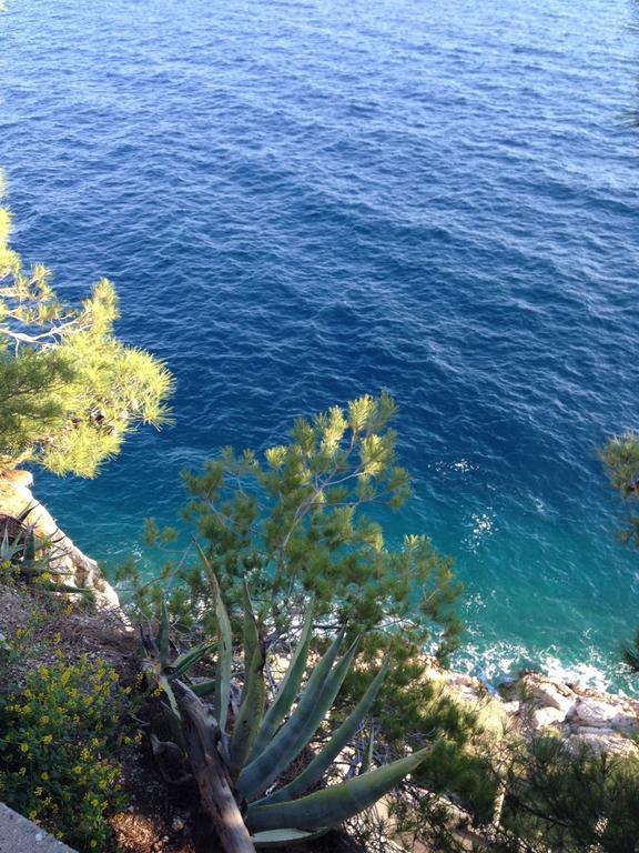 Apartment Dalmatien Traumhaus Makarska Bagian luar foto